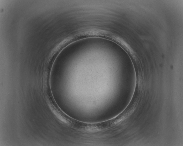 X0000081480445200701121449