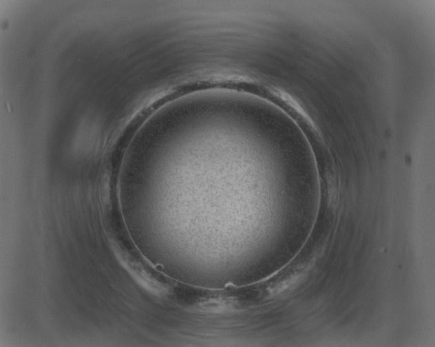 X0000081480447200701121449