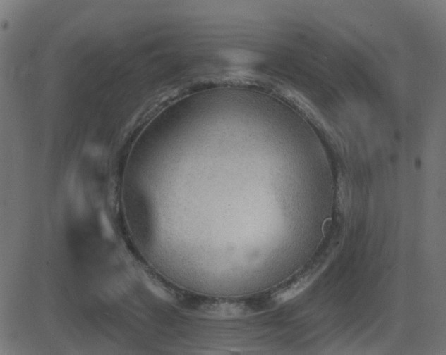 X0000081480449200701121449