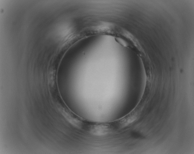 X0000081480462200701121449