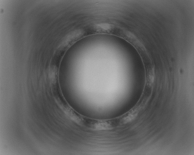 X0000081480468200701121449
