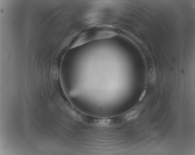 X0000081480474200701121449