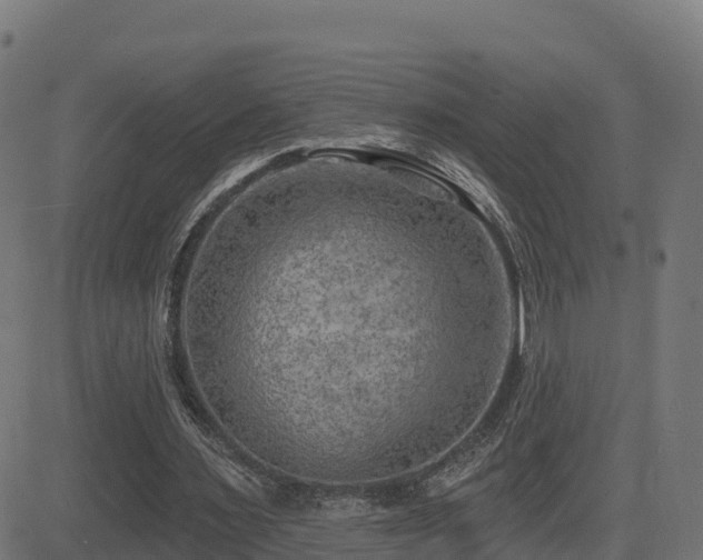 X0000081480483200701121448