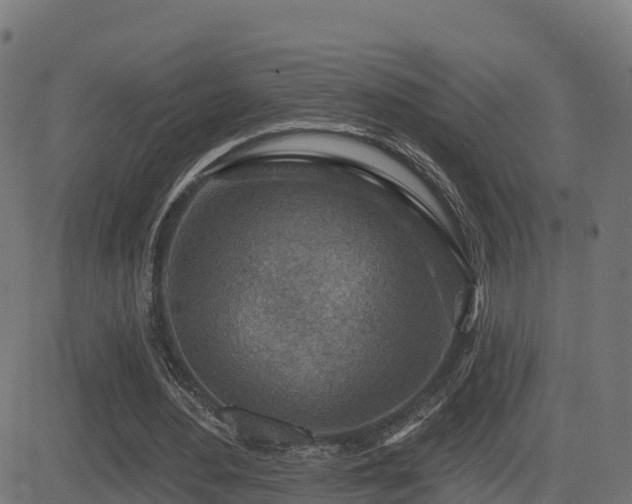 X0000081480484200701121448
