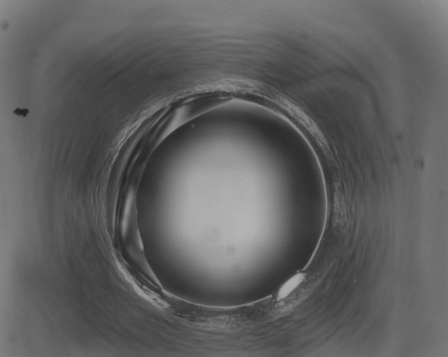 X0000081480485200701121448