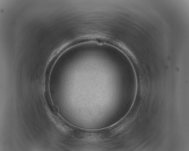 X0000081480486200701121448