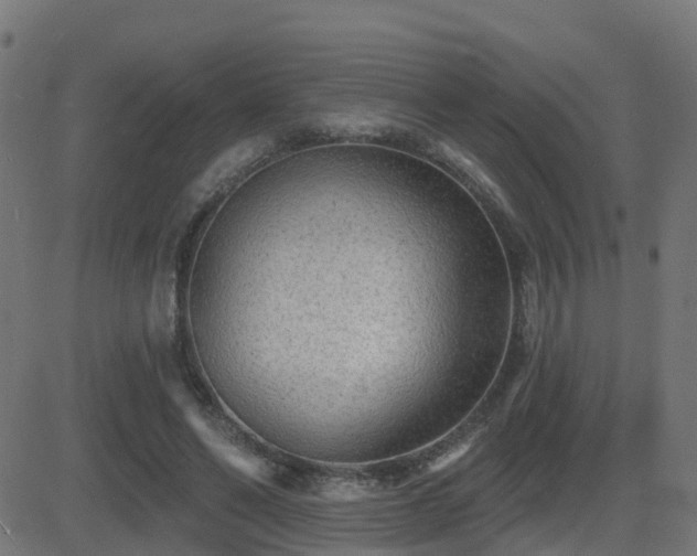 X0000081480494200701121448