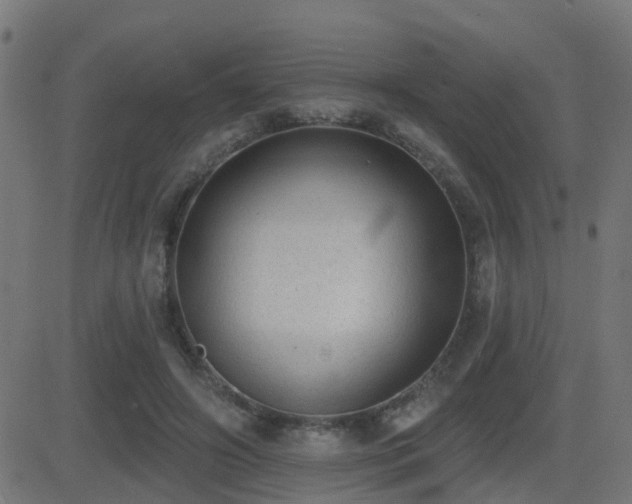 X0000081480498200701121448