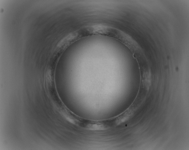 X0000081480506200701121448