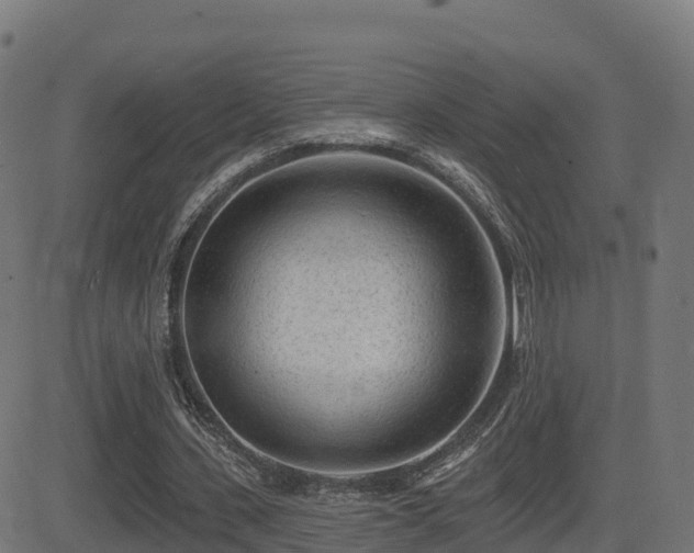 X0000081480531200701121447