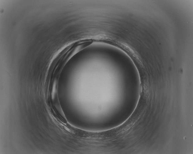X0000081480532200701121447