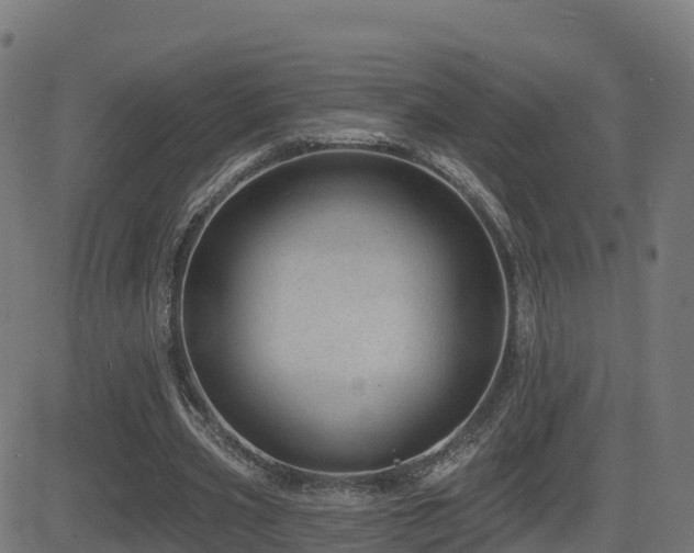 X0000081480533200701121447