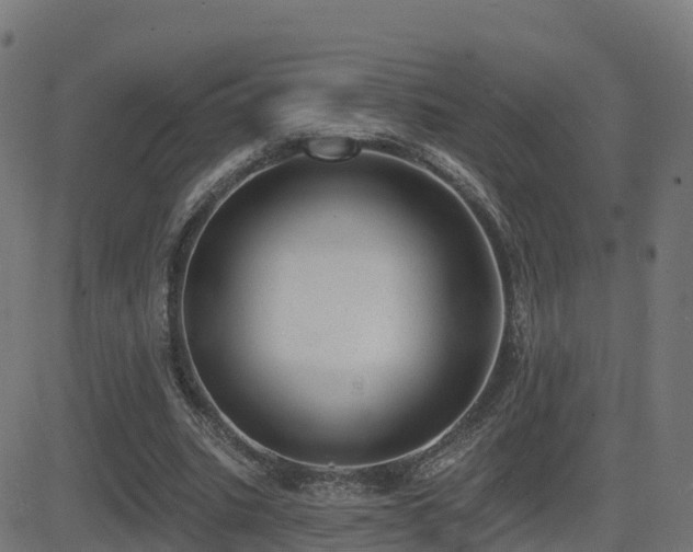 X0000081480535200701121447