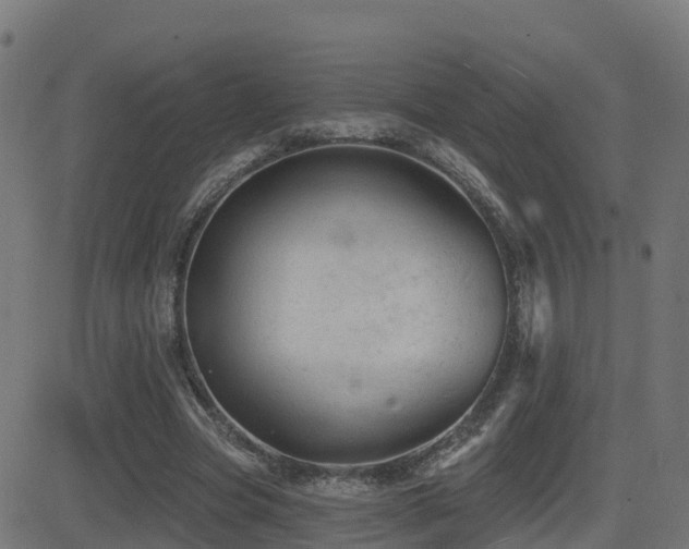 X0000081480537200701121447