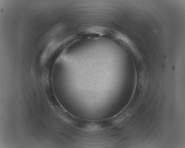 X0000081480547200701121447