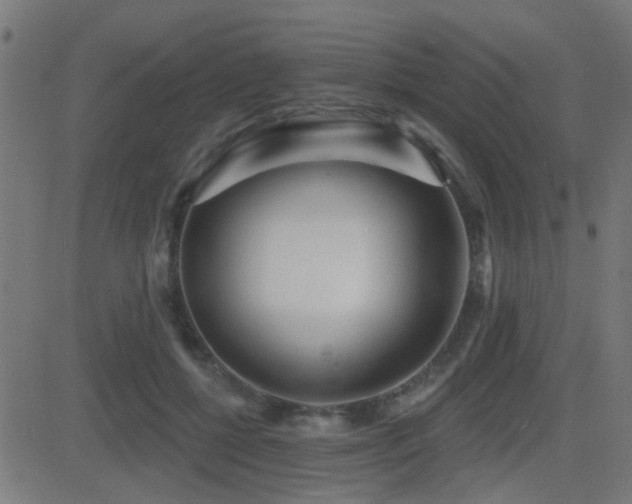 X0000081480552200701121447