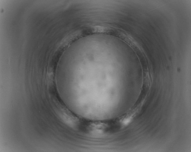 X0000081480557200701121447
