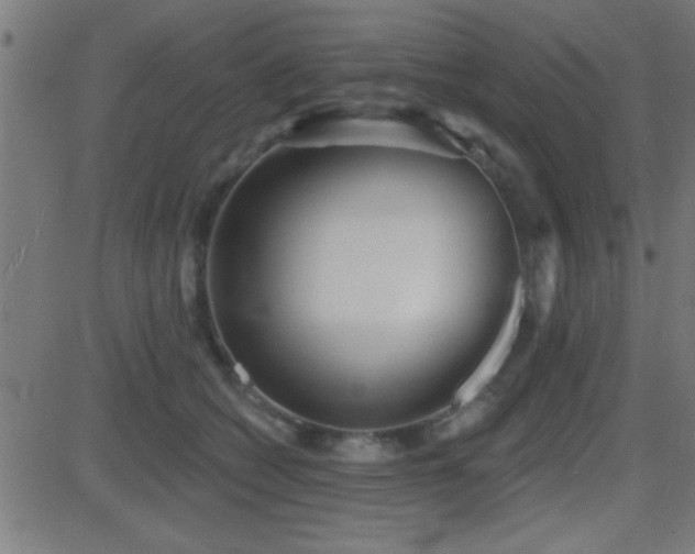 X0000081480562200701121447