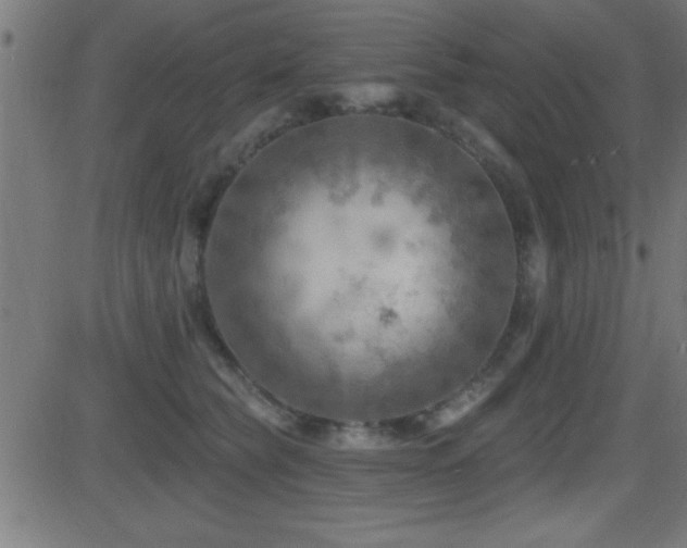 X0000081480565200701121447