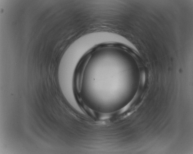 X0000081480566200701121447