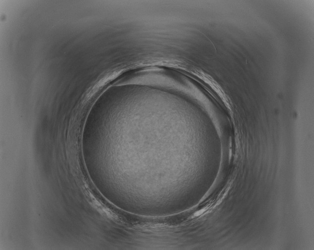 X0000081480577200701121447