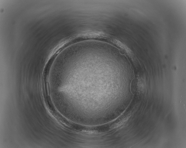 X0000081480582200701121447