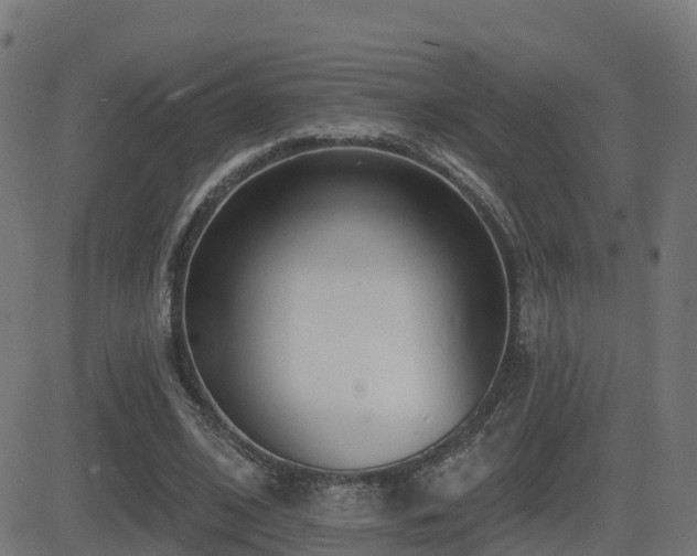 X0000081480584200701121447