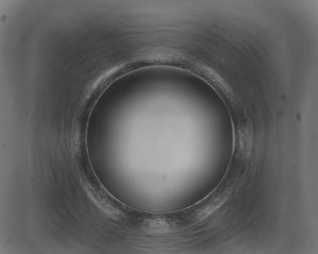 X0000081480588200701121447