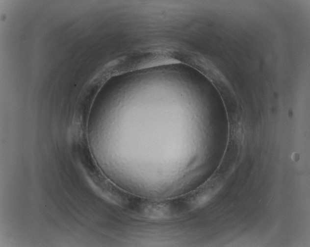 X0000081480599200701121446