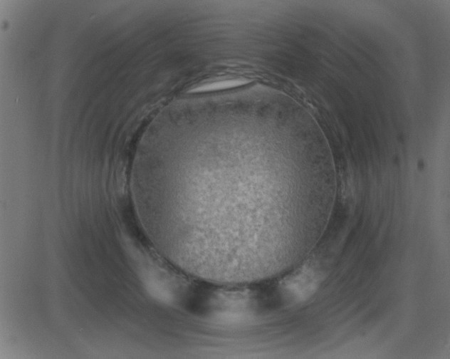 X0000081480606200701121446