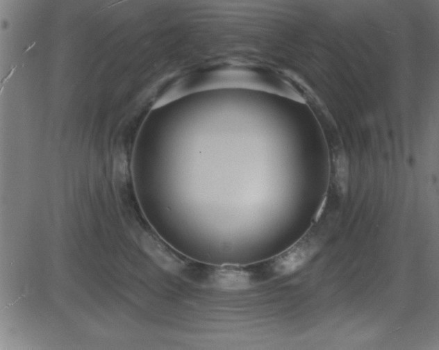 X0000081480617200701121446