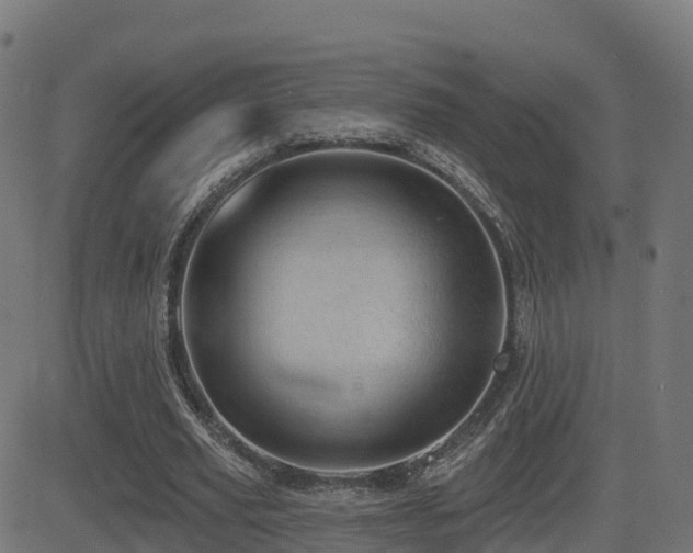 X0000081480629200701121445