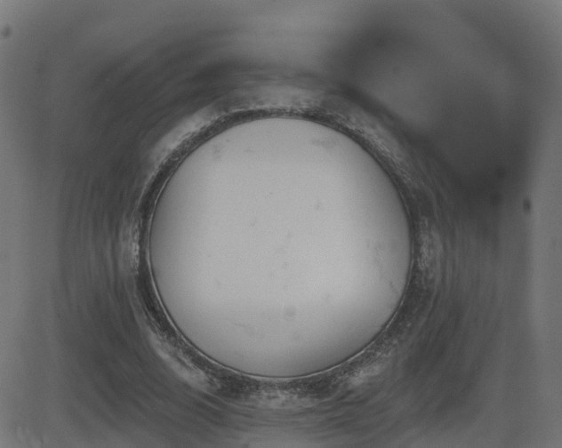 X0000081480632200701121445