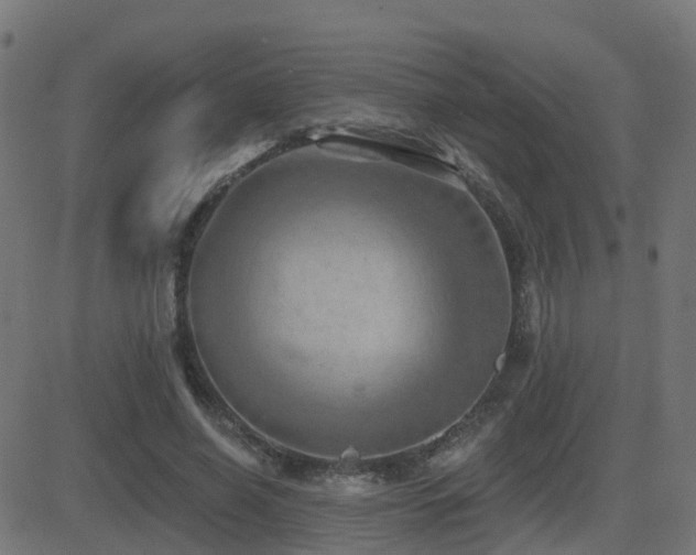 X0000081480638200701121446