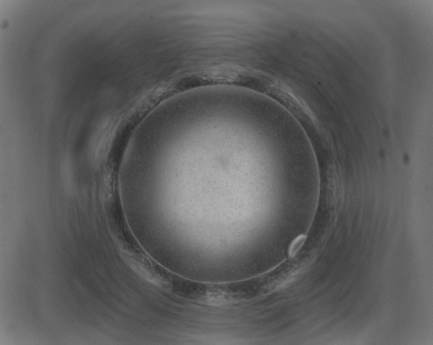 X0000081480641200701121446