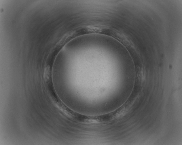 X0000081480649200701121446