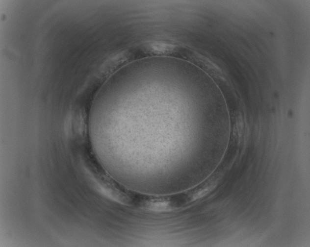 X0000081480651200701121446