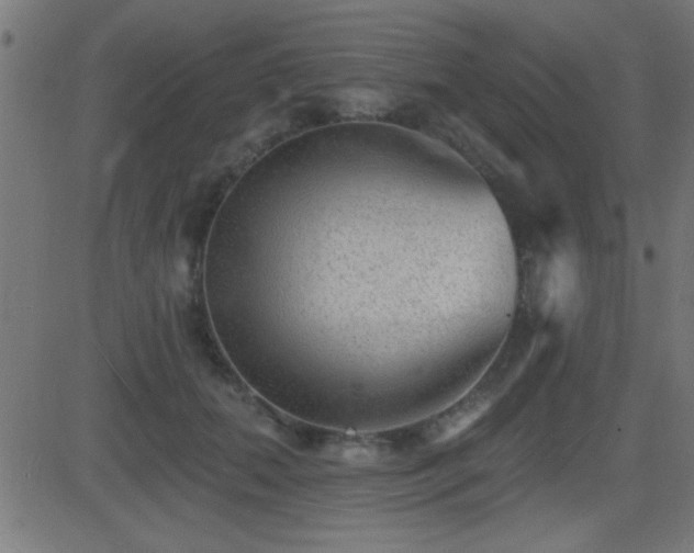 X0000081480655200701121446