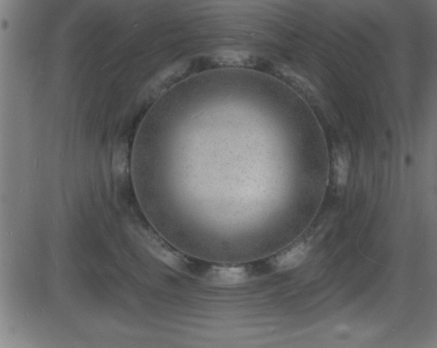 X0000081480665200701121446