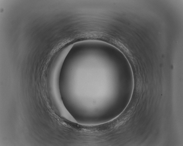 X0000081480673200701121445