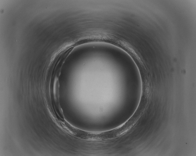 X0000081480677200701121445