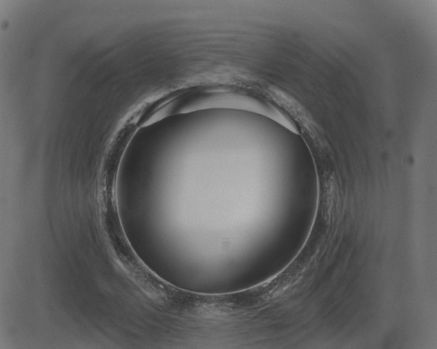 X0000081480680200701121445