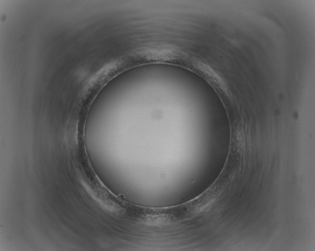 X0000081480686200701121445