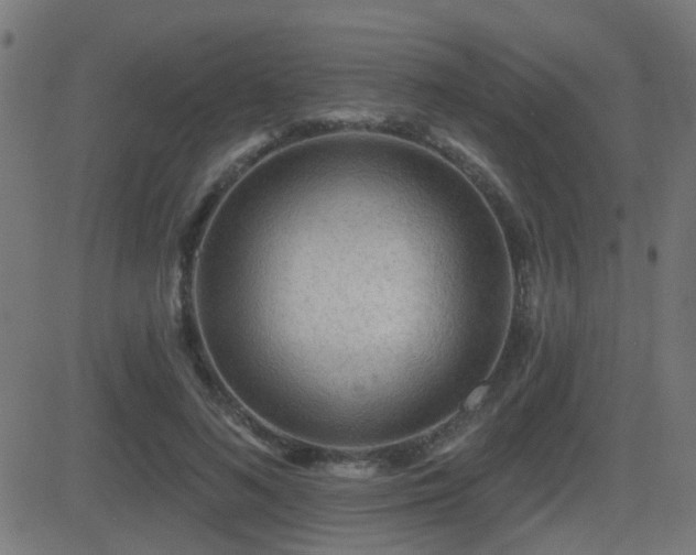 X0000081480692200701121445
