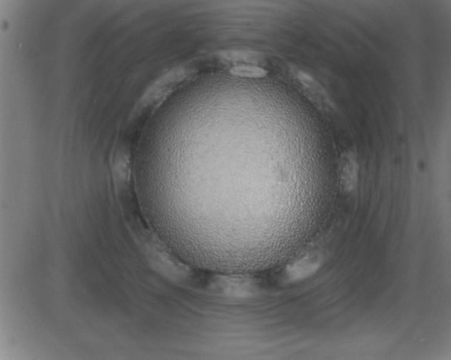 X0000081480713200701121445