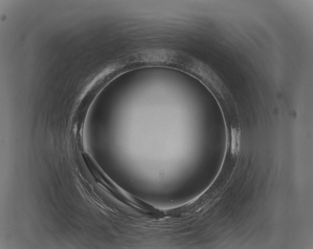 X0000081480723200701121444