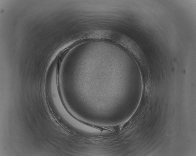 X0000081480724200701121444