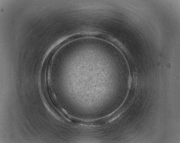 X0000081480726200701121444