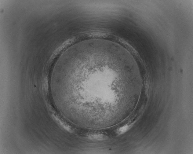 X0000081480729200701121444