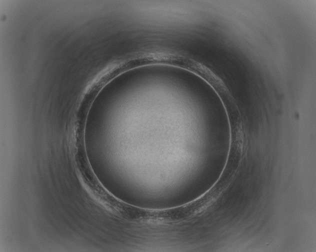 X0000081480730200701121444